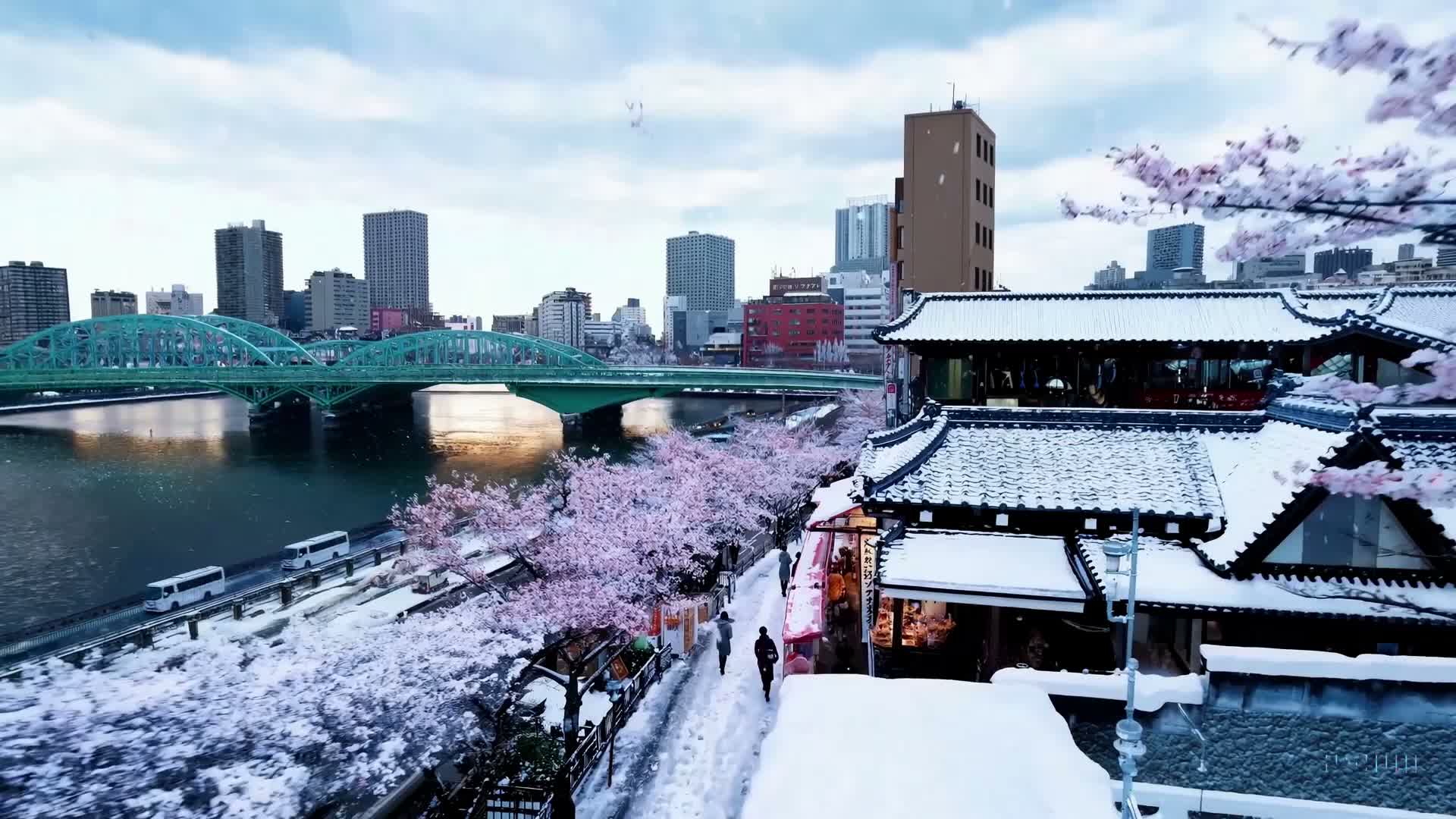 雪中东京樱花街景