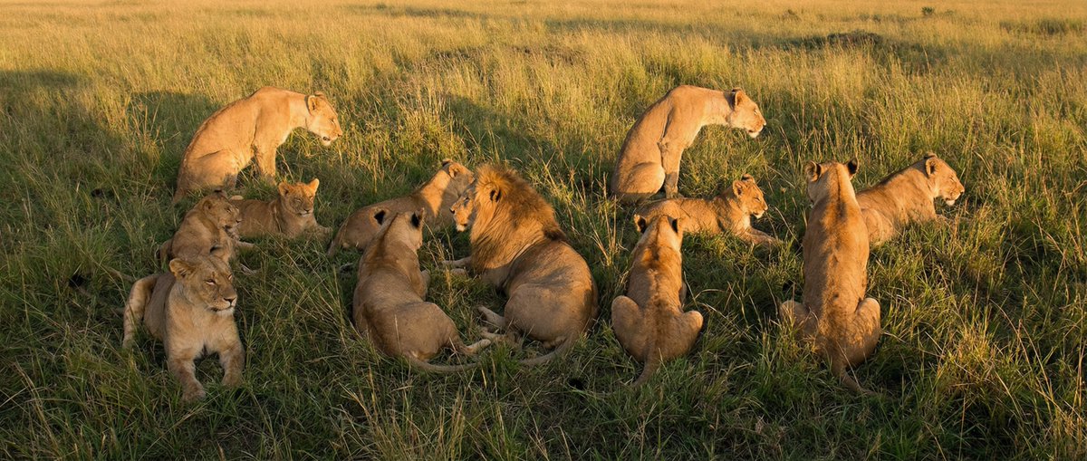 Crear una foto con palabras ocultas
